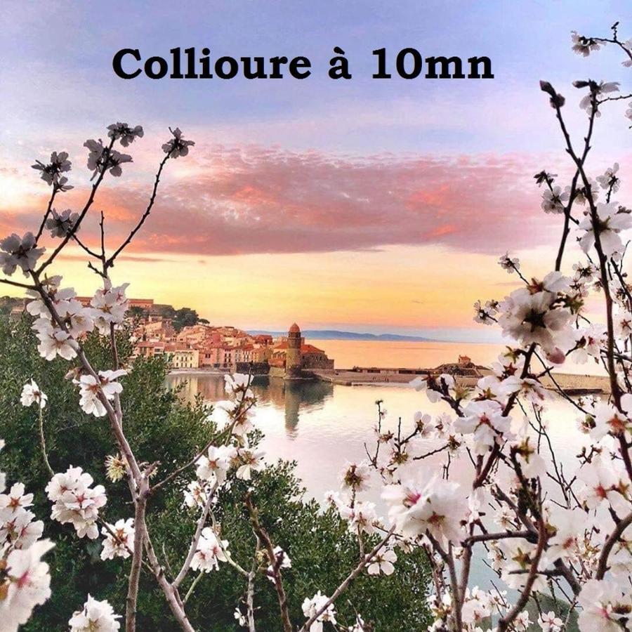 Maison Small Luxury Argelès-sur-Mer Eksteriør bilde